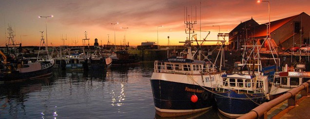 Fife harbour